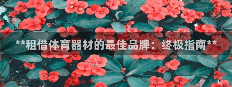 耀世平台注册流程：**租借体育器材的最佳品牌：终极指