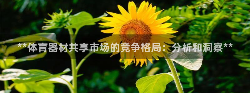 耀世娱乐登陆官网入口：**体育器材共享市场的竞争格局