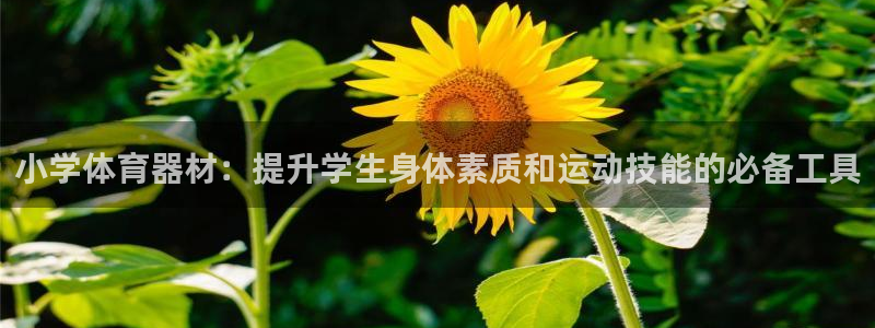 耀世集团视频介绍下载：小学体育器材：提升学生身体素质