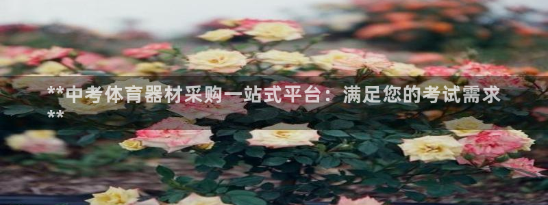 耀世娱乐平台注册登录不了：**中考体育器材采购一站式