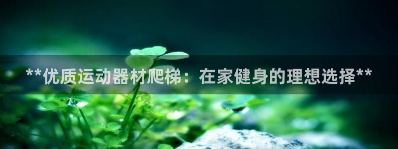 耀世平台认 58534I 耀世：**优质运动器材爬梯