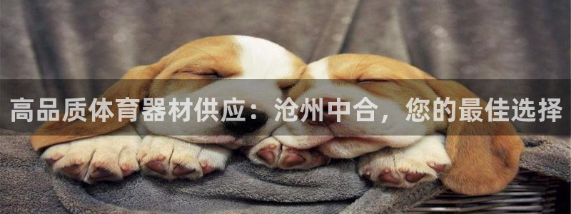 耀世娱乐是不是很黑呀：高品质体育器材供应：沧州中合，