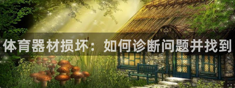 耀世娱乐挂机教程下载：体育器材损坏：如何诊断问题并找