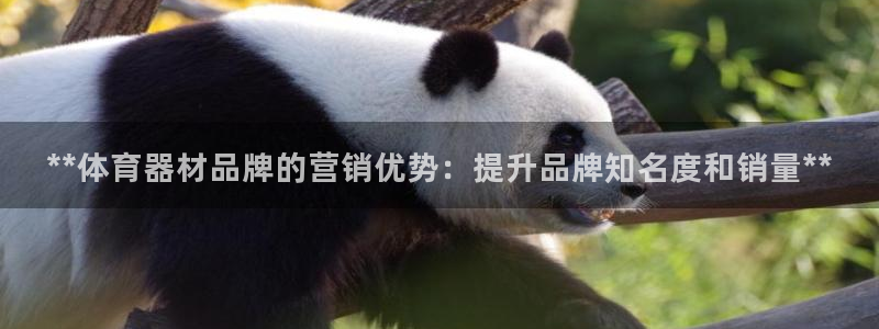 哪吒s耀世版价格：**体育器材品牌的营销优势：提升品