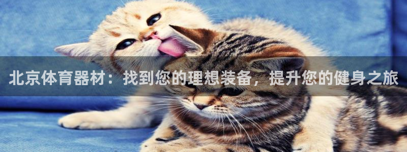 耀世平台找 5O6917 平台：北京体育器材：找到您