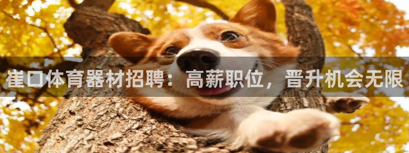 耀世娱乐客服电话号码：崔口体育器材招聘：高薪职位，晋