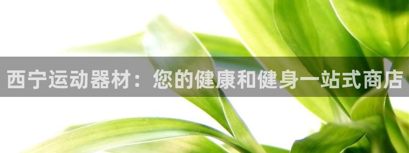 耀世平台招商