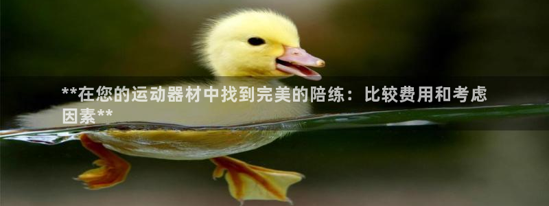 耀世平台总代理是谁：**在您的运动器材中找到完美的陪
