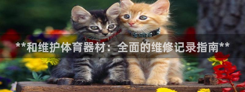 耀世平台管 411O31 平台：**和维护体育器材：