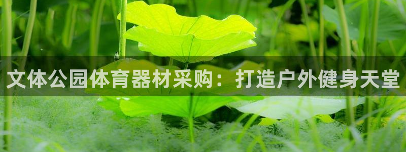 耀世平台告7O777：文体公园体育器材采购：打造户外