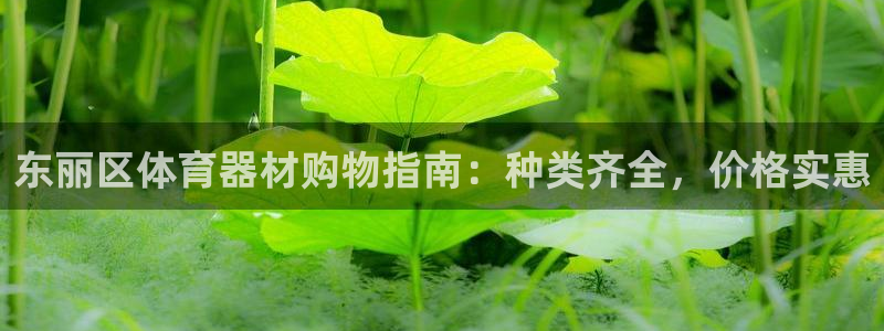 耀世平台注册链接怎么打开：东丽区体育器材购物指南：种