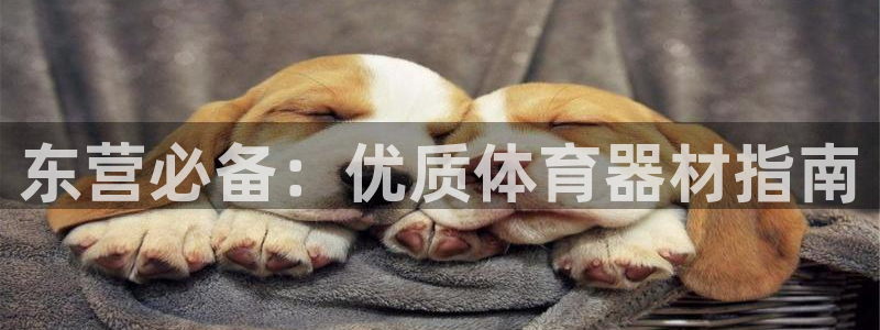 耀世微光简谱：东营必备：优质体育器材指南
