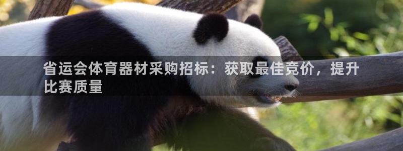 耀世娱乐返点多少钱：省运会体育器材采购招标：获取最佳