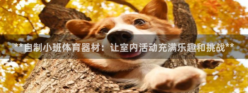 耀世平台认 58534I 耀世：**自制小班体育器材