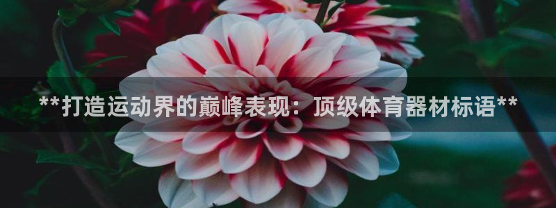 耀世微光曲谱：**打造运动界的巅峰表现：顶级体育器材