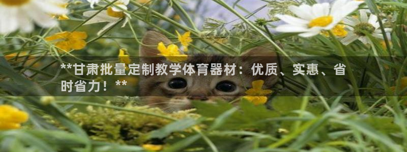 耀世娱乐骗局揭秘：**甘肃批量定制教学体育器材：优质