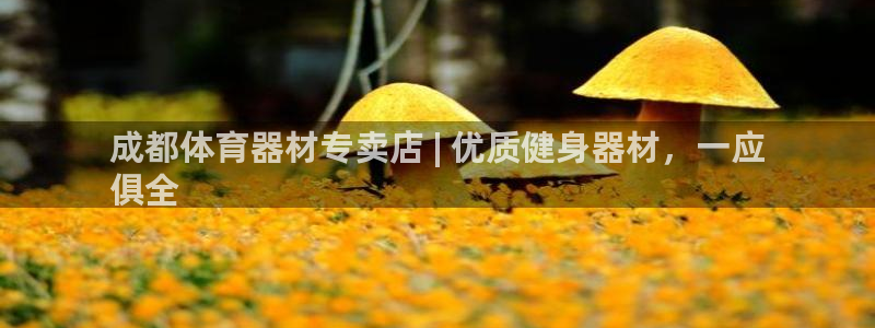 耀世平台注册流程视频：成都体育器材专卖店 | 优质健