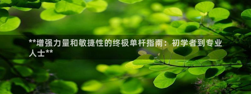 耀世平台话7O777：**增强力量和敏捷性的终极单杆