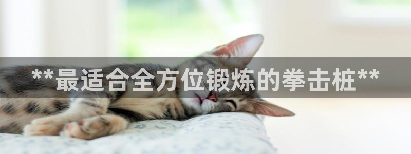 耀世娱乐登入不了账号：**最适合全方位锻炼的拳击桩*