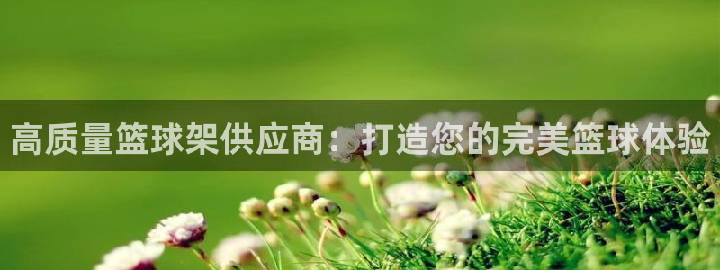 耀世娱乐是不是赚钱快：高质量篮球架供应商：打造您的完