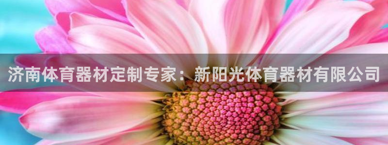 耀世平台注册开户要求：济南体育器材定制专家：新阳光体