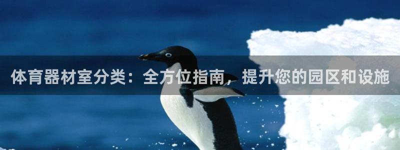 耀世平台代理注册登录：体育器材室分类：全方位指南，提