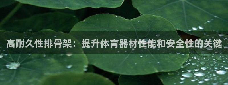 耀世平台注册网址是什么啊：高耐久性排骨架：提升体育器