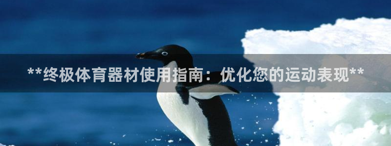 耀世第二关：**终极体育器材使用指南：优化您的运动表