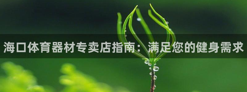 耀世天下怎么接：海口体育器材专卖店指南：满足您的健身