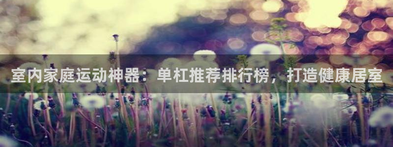 耀世x4：室内家庭运动神器：单杠推荐排行榜，打造健康