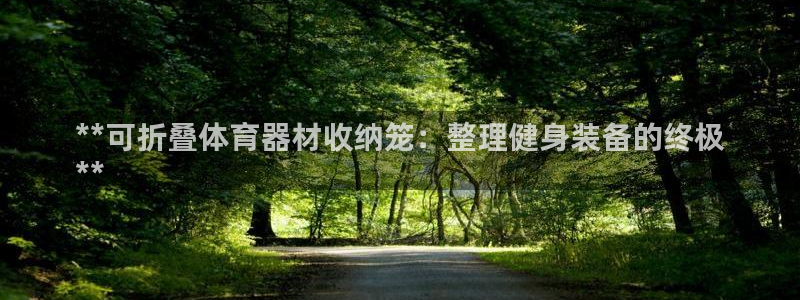 耀世娱乐挂机：**可折叠体育器材收纳笼：整理健身装备