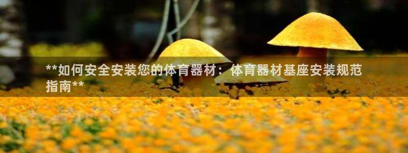 耀世令是什么：**如何安全安装您的体育器材：体育器材