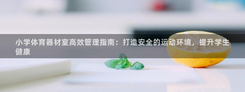 耀世微光 歌词：小学体育器材室高效管理指南：打造安全