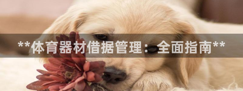 耀世娱乐网址是什么软件：**体育器材借据管理：全面指