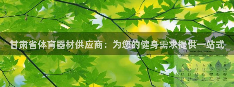 耀世娱乐黑钱吗：甘肃省体育器材供应商：为您的健身需求