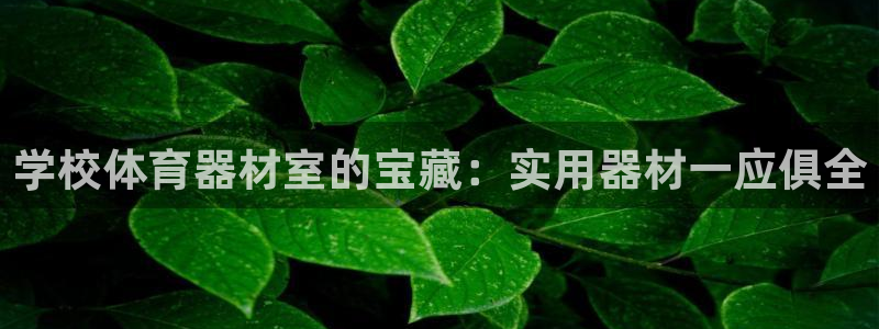 耀世天下图片头像：学校体育器材室的宝藏：实用器材一应