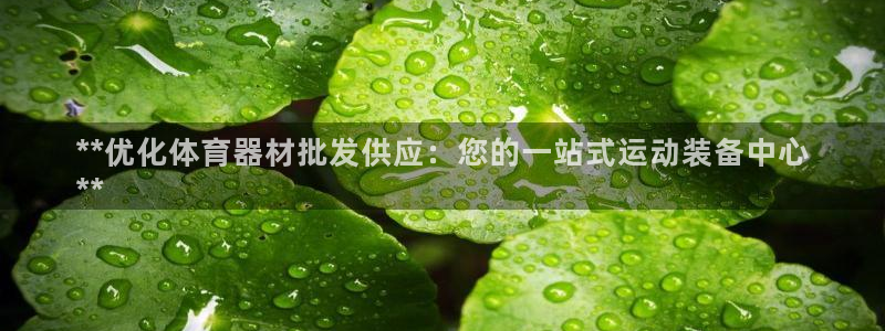 耀世集团是什么电影里的人物：**优化体育器材批发供应
