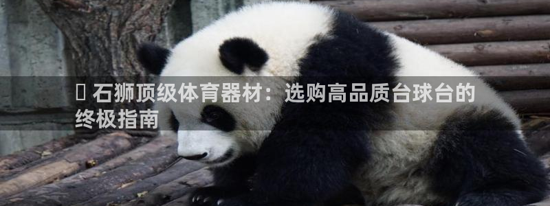 耀世平台马 5O6917 耀世