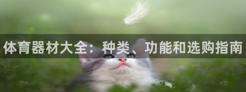 耀世平台升 411O31 耀世