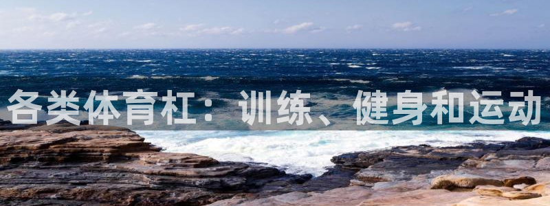 耀世盛典手游：各类体育杠：训练、健身和运动