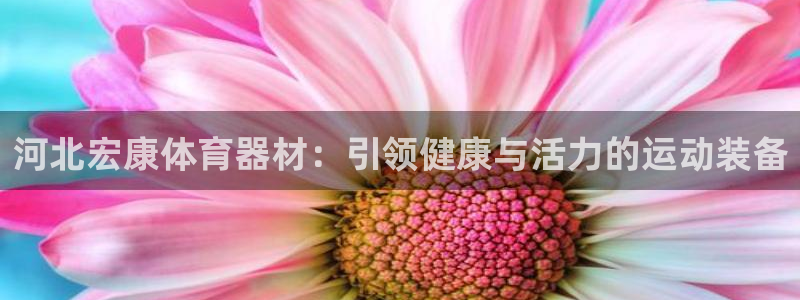 耀世娱乐登入不了账号：河北宏康体育器材：引领健康与活