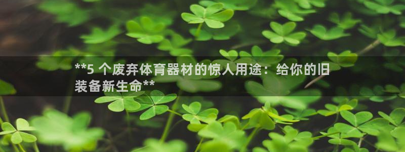耀世娱乐网站官网：**5 个废弃体育器材的惊人用途：