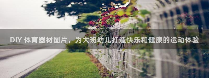 耀世平台话7O777：DIY 体育器材图片，为大班幼