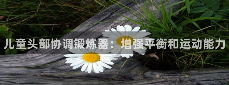 耀世娱乐黑钱吗：儿童头部协调锻炼器：增强平衡和运动能