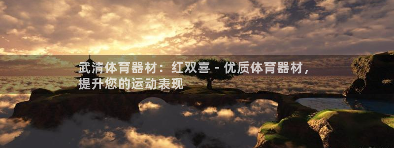 耀世国际平台正规吗：武清体育器材：红双喜 - 优质体