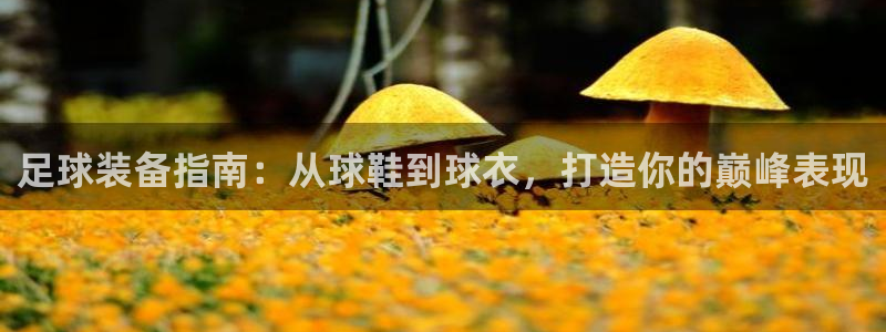 耀世娱乐总代理是谁：足球装备指南：从球鞋到球衣，打造