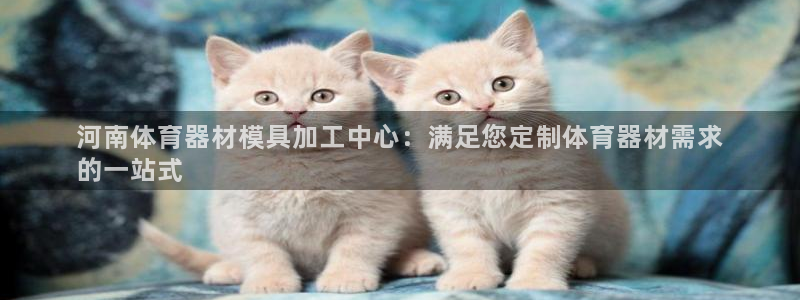 耀世平台会员中心：河南体育器材模具加工中心：满足您定