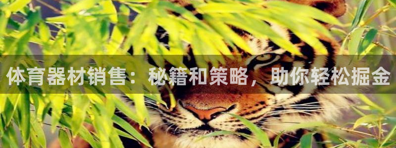耀世启航什么意思：体育器材销售：秘籍和策略，助你轻松