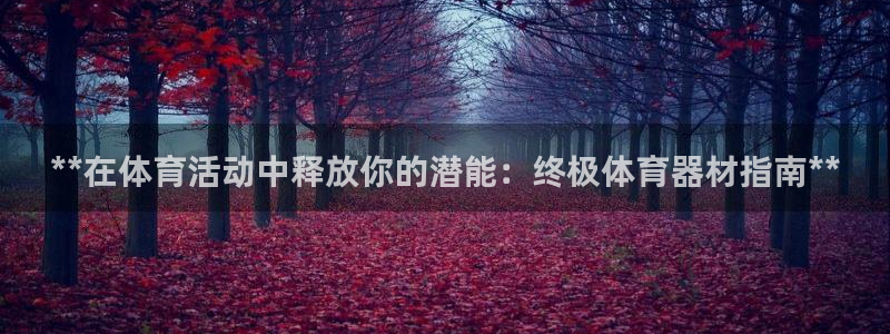 耀世娱乐登陆：**在体育活动中释放你的潜能：终极体育