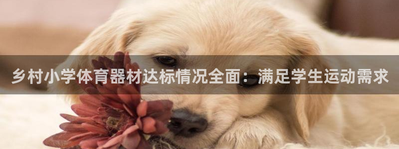 耀世娱乐列7O777：乡村小学体育器材达标情况全面：